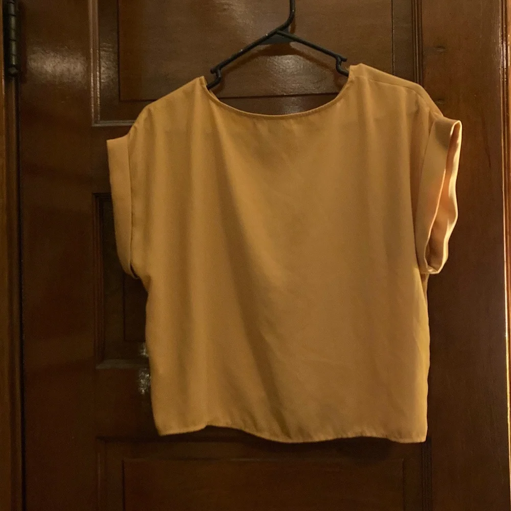 Sheer crop top - Picture 2 of 2